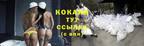 стаф Горняк