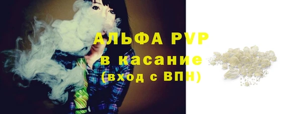 ГАЛЛЮЦИНОГЕННЫЕ ГРИБЫ Вяземский