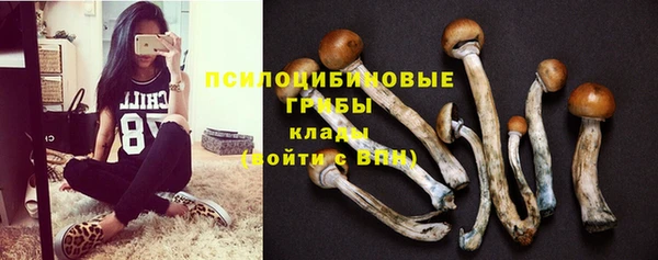 ГАЛЛЮЦИНОГЕННЫЕ ГРИБЫ Вяземский