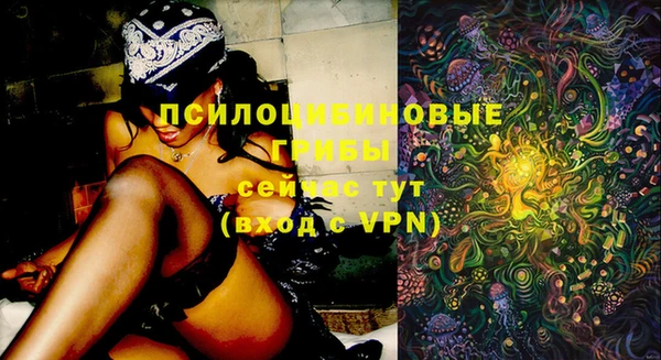 стаф Горняк
