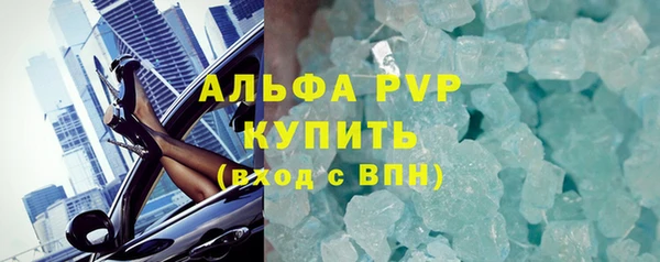 ГАЛЛЮЦИНОГЕННЫЕ ГРИБЫ Вяземский